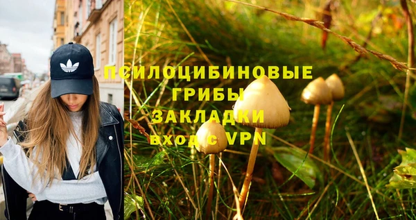 кокаин Алексин
