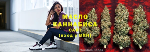 шишки Абаза