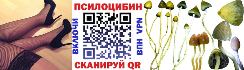 KRAKEN вход  Болхов  Псилоцибиновые грибы GOLDEN TEACHER 